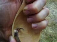 Carving Spoon.jpg