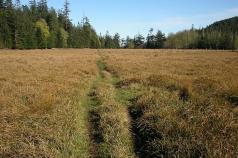 jedidiah_field.jpg