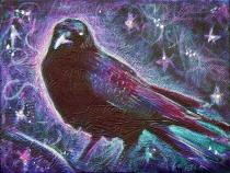 "crow" 6"x8", acrylic on canvas