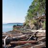 This is how the Beach House got its name!