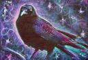 "crow" 6"x8", acrylic on canvas