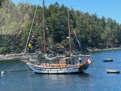 Sail Past 2026