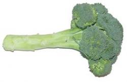 broccolli.jpg