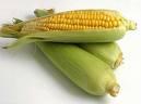 corn2.jpeg