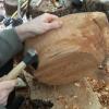 Carving the outside of an alder bowl with an adze.