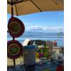 Spring Bay Beach Day 2026
