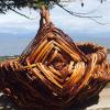 Split Cedar Root Baskets